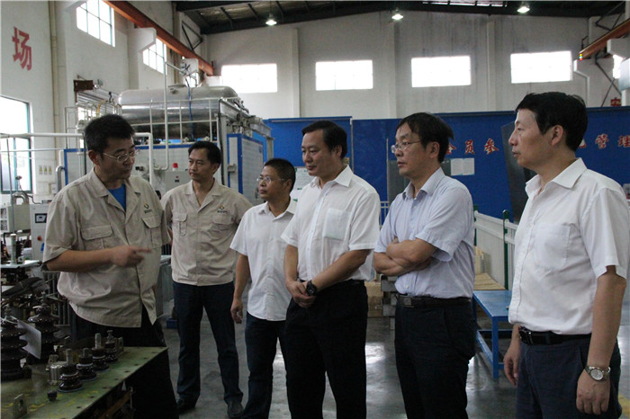 國(guó)網(wǎng)湖北省電力公司運(yùn)檢主任一行到紫電公司檢查工作 國(guó)網(wǎng)湖北省電力公司運(yùn)檢主任一行到紫電公司檢查工作