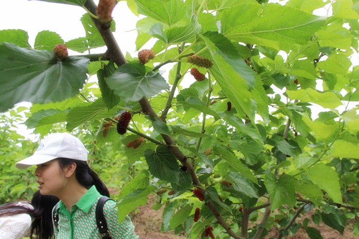 紫電公司開展戶外活動  慶祝“五四”青年節(jié)