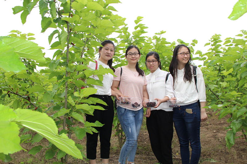 紫電公司開展戶外活動  慶祝“五四”青年節(jié)